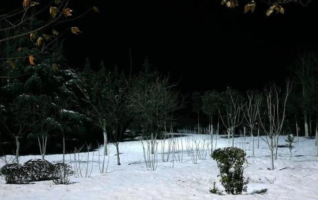 宋诗里一首非常经典的诗作，寻常一样窗前月，才有梅花便不同！