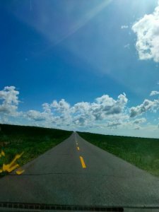 ​地球最强医院-梅奥诊所