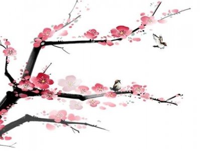 ​佛家说随喜是什么意思（懂得随喜一生都吉祥如意）