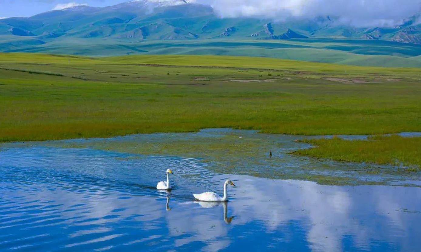巴音布鲁克大草原简介(巴音布鲁克草原是我国第二大草原)