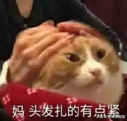 玉自寒在《烈火如歌》里那么惨, 你们怎么忍心…干得漂亮!