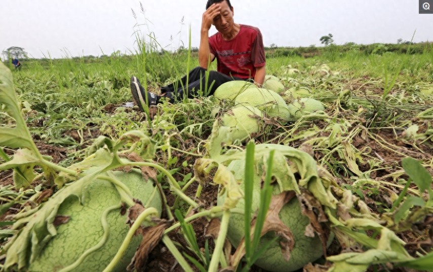 男人无奈的8个场景，真实生活就是这样，做男人真的不容易