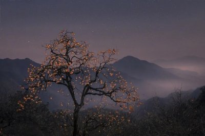 ​激活潜意识的方法（一）