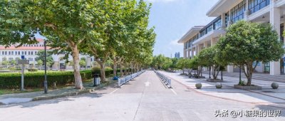 ​江西大专排名及分数线一览表（2024江西最好的公办专科学校）