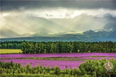 ​走，去新疆！今年首趟“鄂博号”援疆旅游专列26日从武汉出发