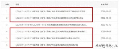 ​广珠澳高铁来了！广州北至鹤洲段，正式招标！