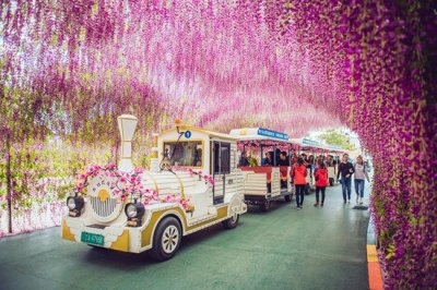 ​全国十余座方特主题乐园恢复开放 释放多项惠民福利