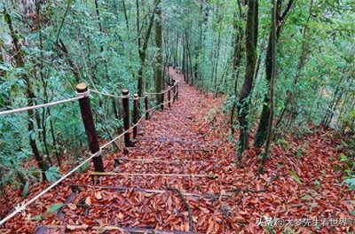 ​中国“雨水最多”的城市，一年降雨200多天，盛产美女和茶叶