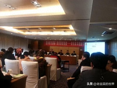 ​藐视证监会的琼民源