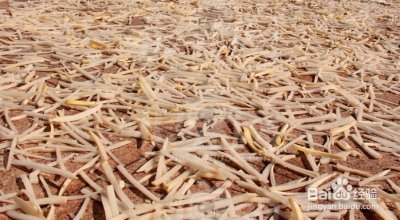 ​龙岩八大干，有你们家乡的特产？