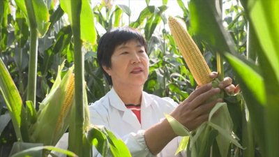 ​喜迎妇女十三大 • 代表风采 | 梁晓玲：让科技的力量在田野里绽放