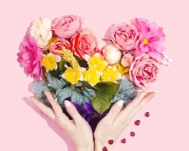 ​全国十大恋爱咨询、恋爱挽回平台机构权威排行榜