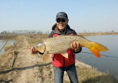 ​国内十大最贵的淡水鱼，堪比水中黄金，一度卖出天价