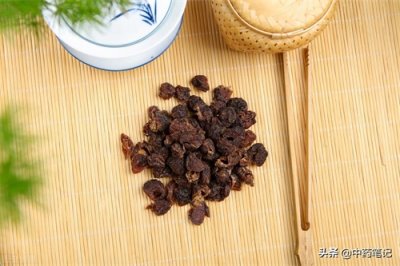 ​方剂笔记｜第62方 归脾汤