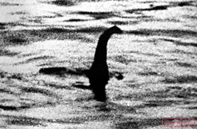 ​尼斯湖水怪大揭秘！1500年的谜团，竟与一段凄美传说有关？