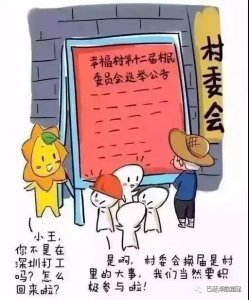 ​「小赛解惑」“两委”换届关于这些您都知道吗？