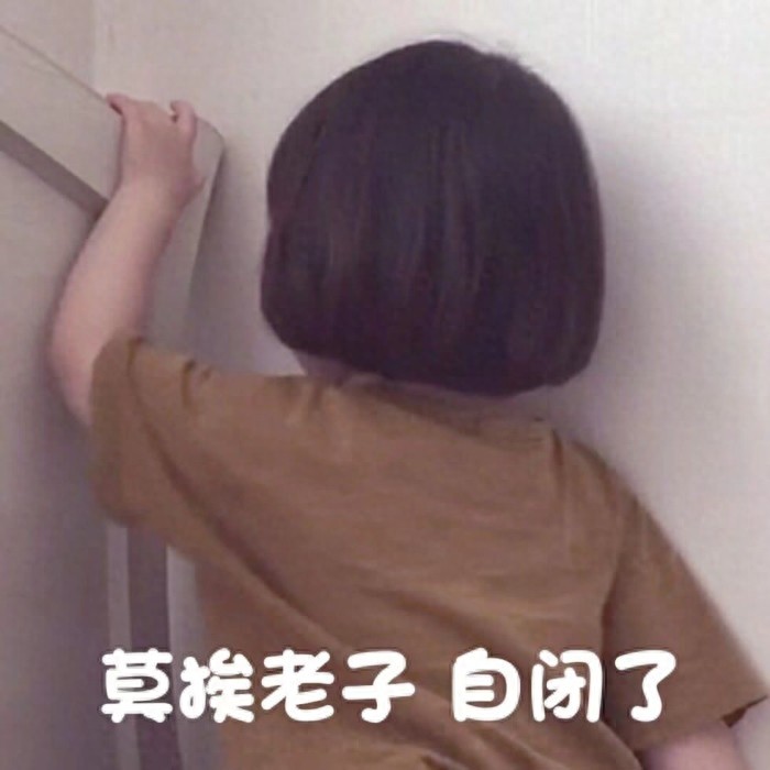 表情包：莫挨老子，自闭了
