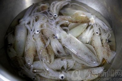 ​尝鲜 经典的青岛家常菜笔管鱼炖豆腐你爱不