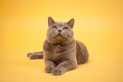 ​暖暖福彩3D2025 103期分享