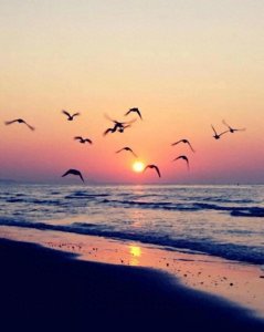 ​最新！江西最好中学排行榜公布，临川一中全国排名第12