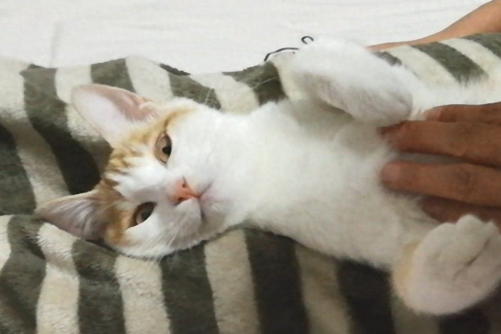 九妹大王表情包大派送！看看你喜欢哪一款？