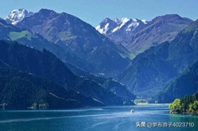 ​昙花一现的伊力老窖