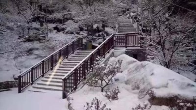 ​青岛真的下雪了！