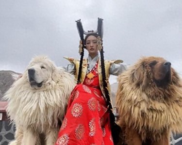 ​“藏族富豪”丁珠：20出头就坐拥百亿资产，陪嫁千万竟无人敢娶？