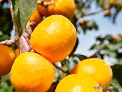 ​瞧瞧咱敦煌的八大怪，您都听过吗？