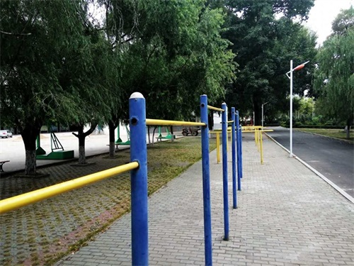 龙江学府  嫩水明珠——齐齐哈尔市实验中学