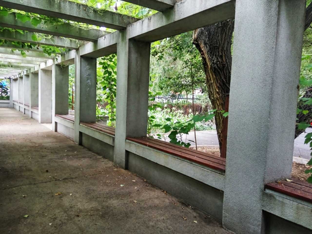 龙江学府  嫩水明珠——齐齐哈尔市实验中学