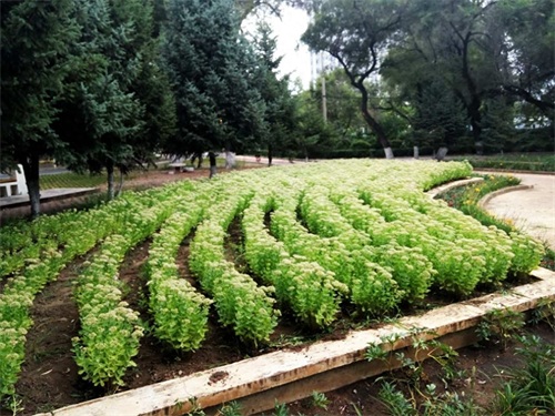 龙江学府  嫩水明珠——齐齐哈尔市实验中学
