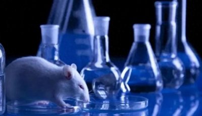​惊爆！动物实验对人类的逆天好处