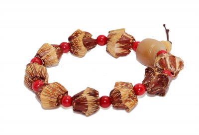 ​文玩宠儿——滴血莲花菩提