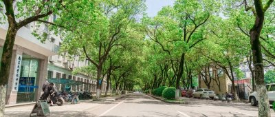 ​最好的十个211大学排名-不输985的211学校（分数线）