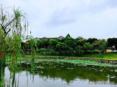​沙湾古镇，看岭南古建筑，品特色美食，周末休闲好去处