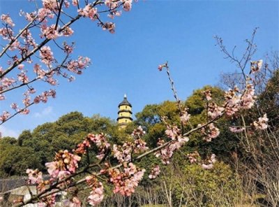 ​镇江市宝塔山公园门票收费取消！