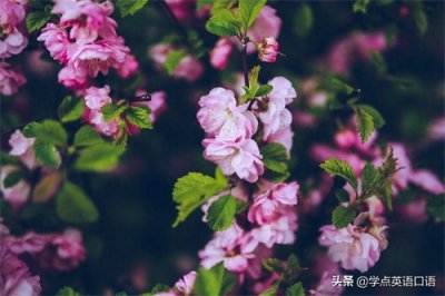 ​每日一词：divest