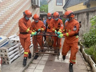 ​陇南森林消防人员救助国家二级保护动物黄麂