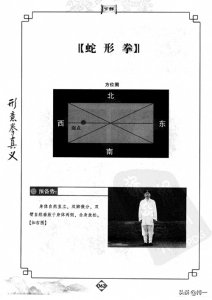 ​形意拳 十二形拳之蛇形拳