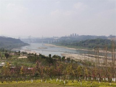 ​金海湾公园一瞥