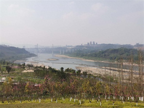 金海湾公园一瞥