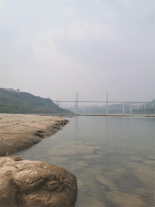 金海湾公园一瞥