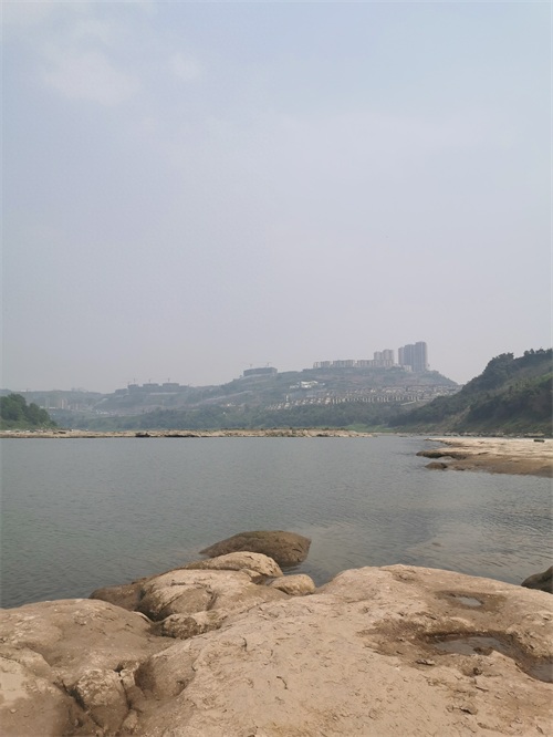 金海湾公园一瞥