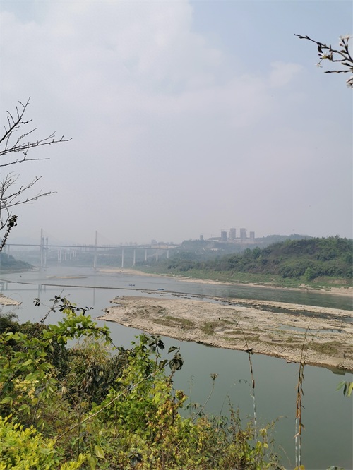 金海湾公园一瞥