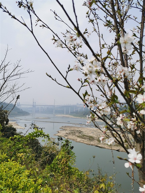 金海湾公园一瞥