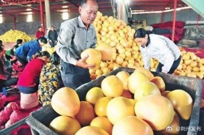 ​官宣！荆州这2个特产受国家保护，以家乡命名