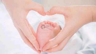 ​家庭中的“担子”与“责任”：定义、影响与管理方法