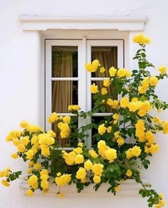 ​男生喜欢一个人会不由自主出现的肢体动作