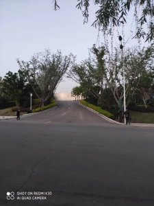 ​使用电信电视机顶盒需要避坑